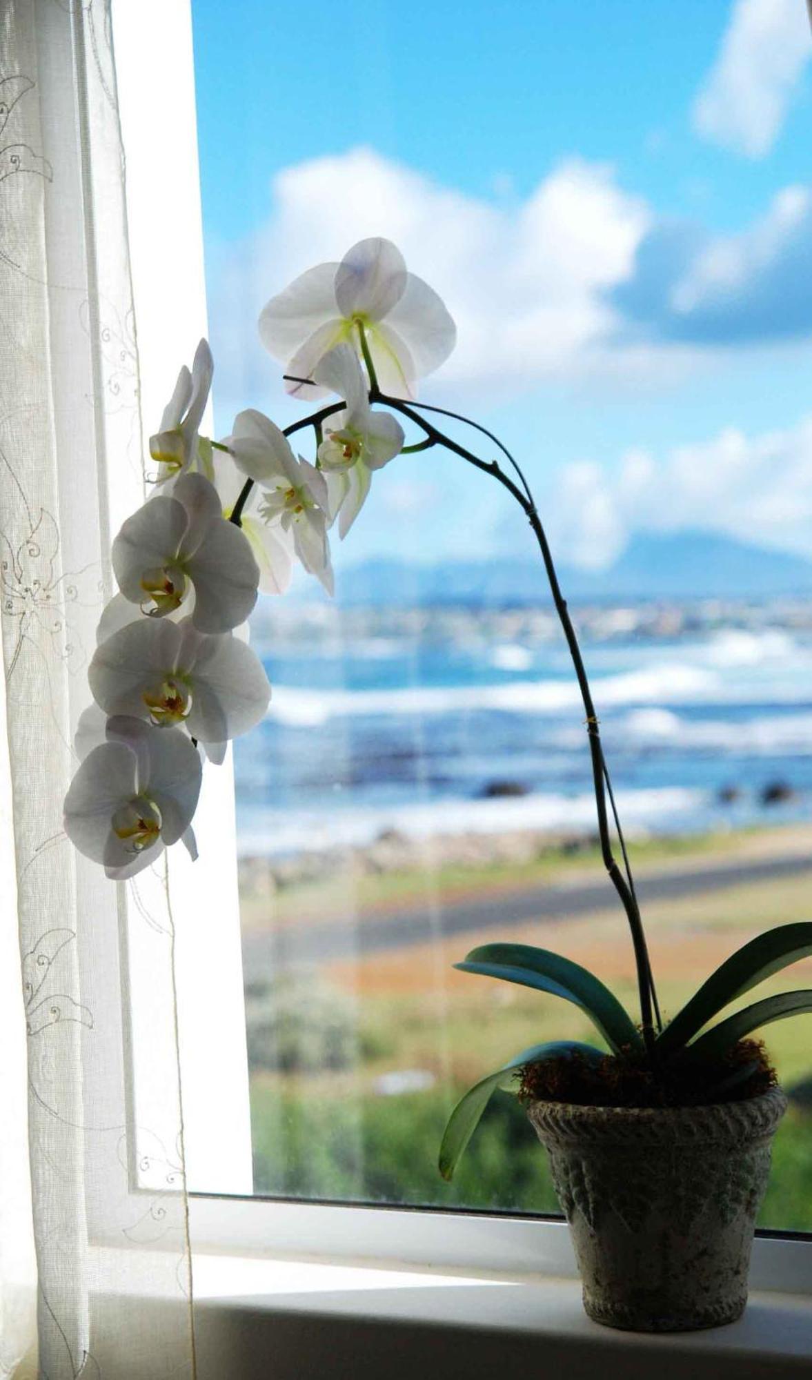 138 Marine Beachfront Guesthouse Hermanus Quarto foto